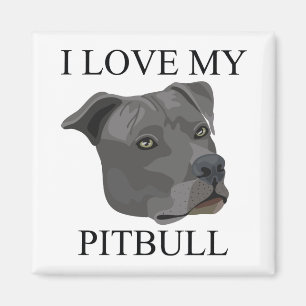PITBULL Liebe! Magnet
