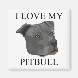 PITBULL Liebe! Magnet