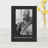 Pitbull Love McLovin Karte (Gelbe Blume)