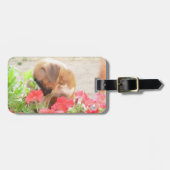 Pitbull Mama-Hund Gepäckanhänger (Vorderseite horizontal)