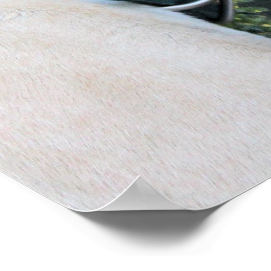 Pitbull - Maverick Composite Poster (Ecke)