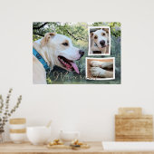 Pitbull - Maverick Composite Poster (Küche)