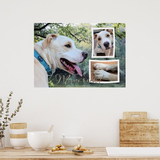 Pitbull - Maverick Composite Poster (Küche)