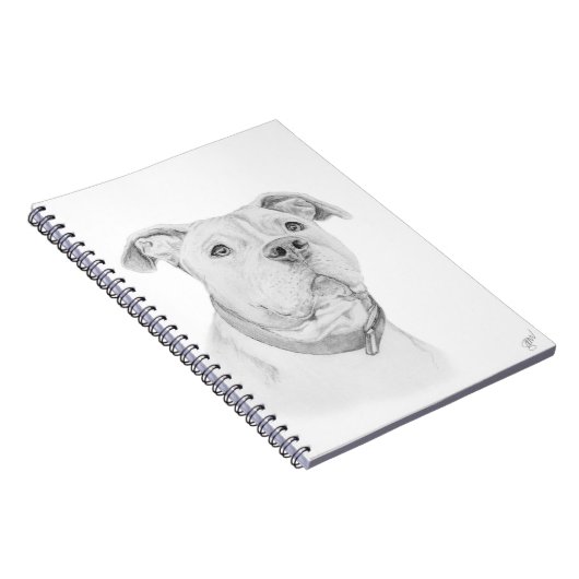 Pitbull, missverstanden notizblock (Rechte Seite)