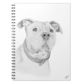 Pitbull, missverstanden notizblock (Vorderseite)