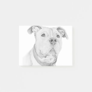 Pitbull, missverstanden post-it klebezettel