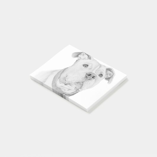 Pitbull, missverstanden post-it klebezettel (angewinkelt)