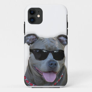 Pitbull mit Gläsern iPhone 11 Hülle