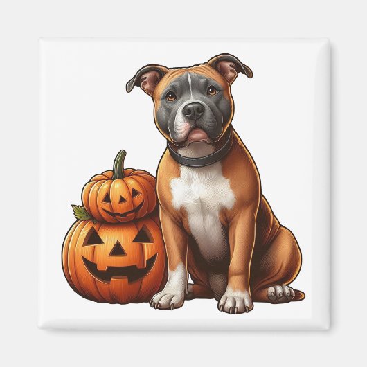 Pitbull mit Halloween Pumpkins Magnet (Vorne)