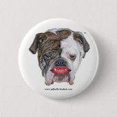 PITBULL MIT LIPPENSTIFT BUTTON (Vorderseite)