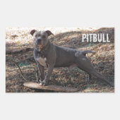 Pitbull mit Skateboard-Aufklebern Rechteckiger Aufkleber (Vorderseite)