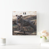 Pitbull mit Skateboard, nummerierte Wall-Uhr Quadratische Wanduhr (Zuhause)