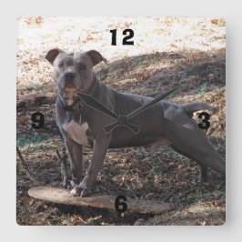 Pitbull mit Skateboard, nummerierte Wall-Uhr Quadratische Wanduhr