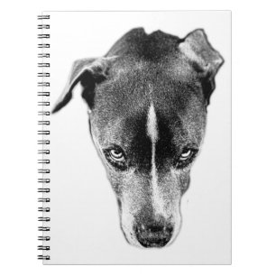 Pitbull Mix Blick Schwarz-Weiß-Kunst-Notebook Notizblock