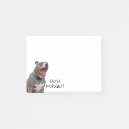 Pitbull Morning Yawn Vergiss nicht Notizen