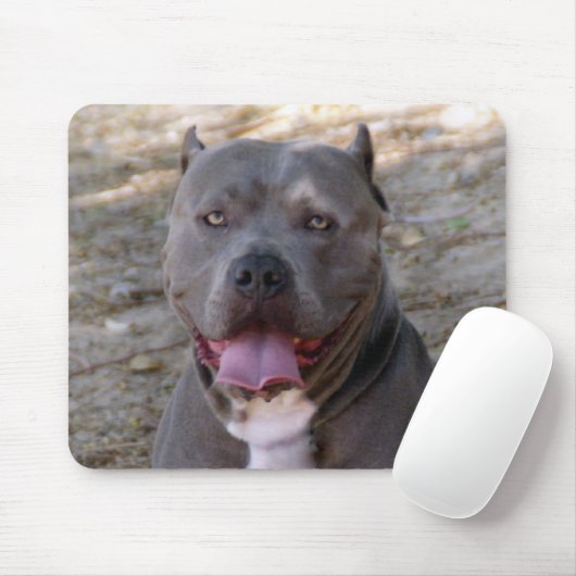 Pitbull Mousepad (Mit Mouse)