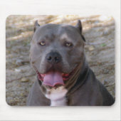 Pitbull Mousepad (Vorne)
