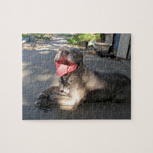 Pitbull nachlässiges Hundekuss-Puzzlespiel Puzzle (Horizontal)