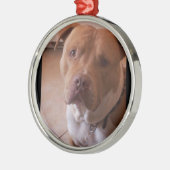 pitbull ornament aus metall (Links)