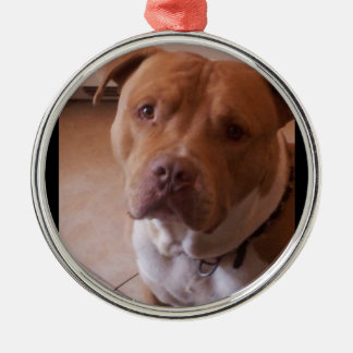 pitbull ornament aus metall