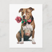Pitbull Pittie Welpe Hund Miss Sie Liebe Pit Bull Postkarte (Vorderseite)
