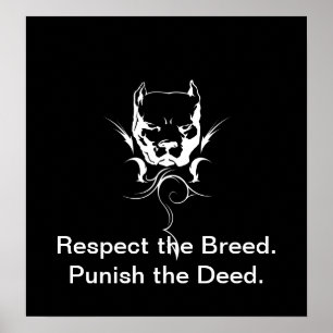 Pitbull Plakat