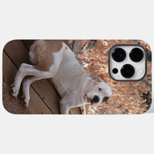 Pitbull Porch Dog iPhone Case (Rückseite (Horizontal))