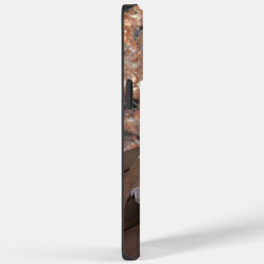 Pitbull Porch Dog iPhone Case (Rückseite / Rechts)