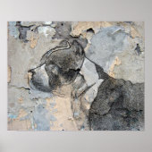 Pitbull Poster (Vorne)