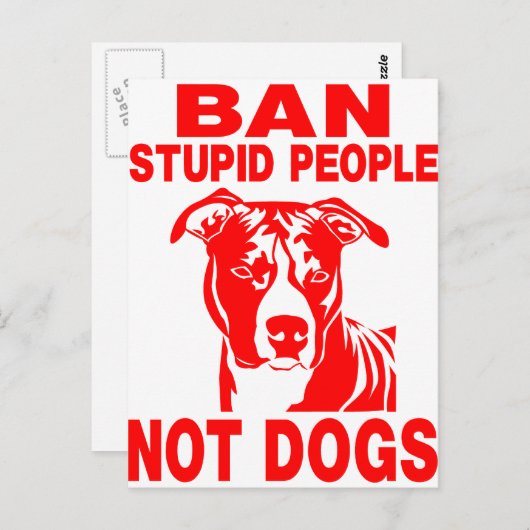 PITBULL POSTKARTE (Vorne/Hinten)