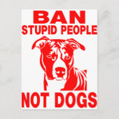 PITBULL POSTKARTE (Vorderseite)