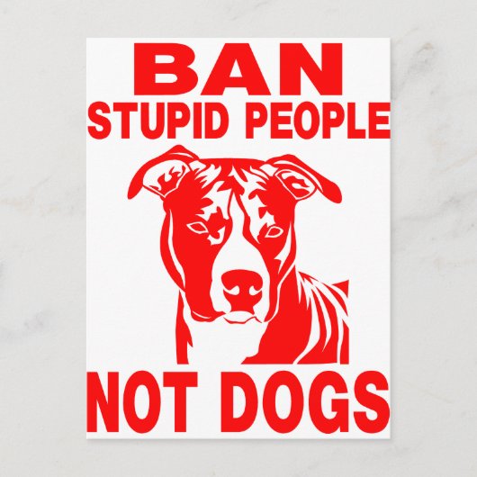 PITBULL POSTKARTE (Vorderseite)