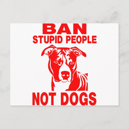 PITBULL POSTKARTE (Vorderseite)