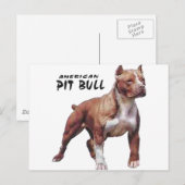 Pitbull Postkarte (Vorne/Hinten)