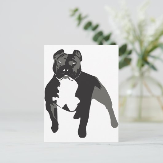 Pitbull Postkarte (Stehend Vorderseite)