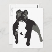 Pitbull Postkarte (Vorne/Hinten)
