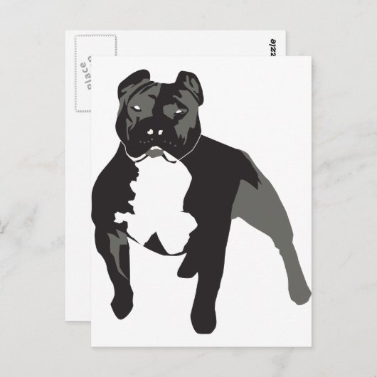 Pitbull Postkarte (Vorne/Hinten)