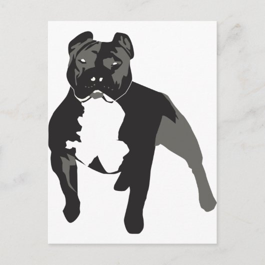 Pitbull Postkarte (Vorderseite)