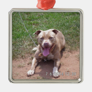 Pitbull-Produkte Silbernes Ornament