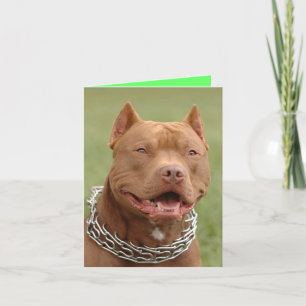 Pitbull Puppy Dodge Blank Note Card Karte