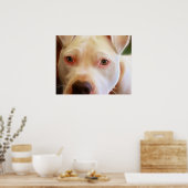Pitbull Puppy Dog Eyes Art Fotografie Poster (Küche)