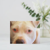 Pitbull Puppy Dog Eyes Art Fotografie Postkarte (Stehend Vorderseite)