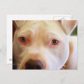 Pitbull Puppy Dog Eyes Art Fotografie Postkarte (Vorne/Hinten)