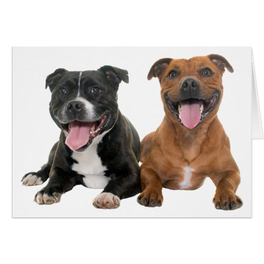 Pitbull Puppy Dog Hallo Miss You Liebe Pit Bull (Vorderseite (Horizontal))