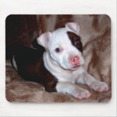 Pitbull Puppy Mousepad (Vorne)