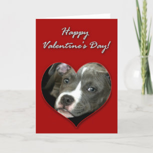 Pitbull puppy Valentines Day Card Feiertagskarte