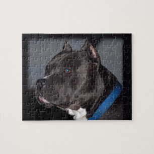 Pitbull Puzzlespiel Puzzle