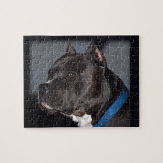 Pitbull Puzzlespiel Puzzle