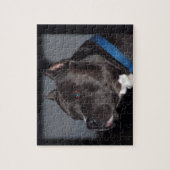 Pitbull Puzzlespiel Puzzle (Vertikal)