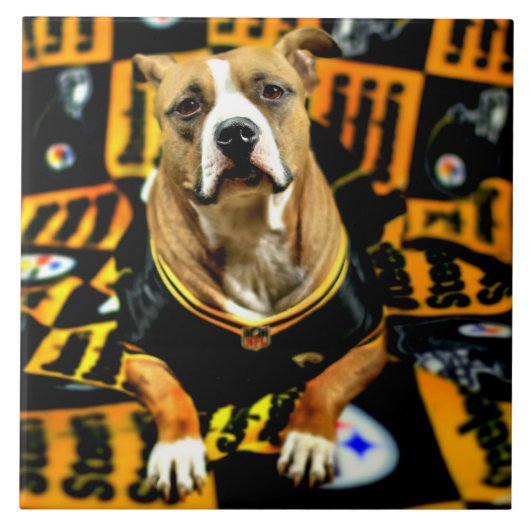 Pitbull Rescue Dog Fanatic Fliese (Vorderseite)